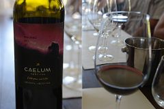 08-10 Our Third Wines Tasting Was Delicious Malbec At Caellum Winery On Our Lujan de Cuyo Wine Tour Near Mendoza.jpg